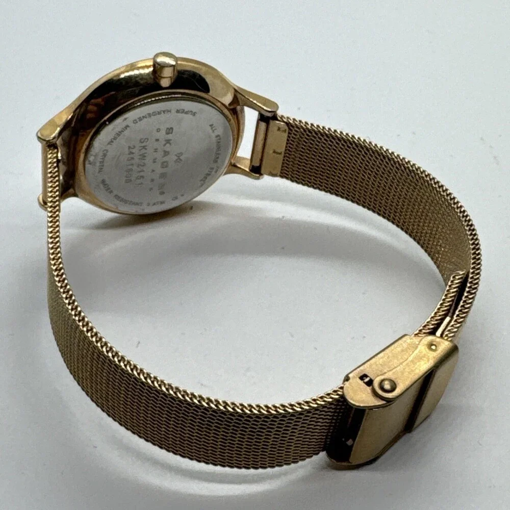 Skagen SKW2151 Womens Stainless Steel Mesh Analog Dial Quartz Wrist Watch AEA280